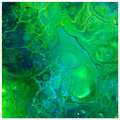 2d399d34-fc2e-45ff-af0e-e9540786e3e4